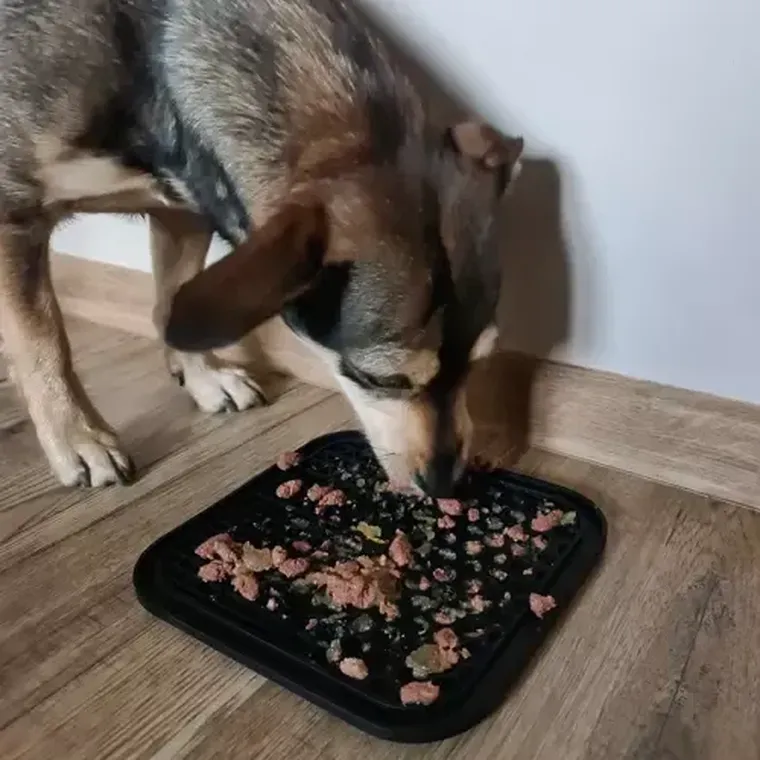 Purlov, mata antystresowa, taca dla psa