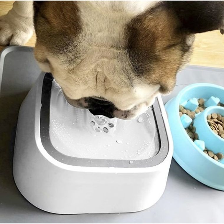 Purlov, miski na wodę, zestaw 2 szt.