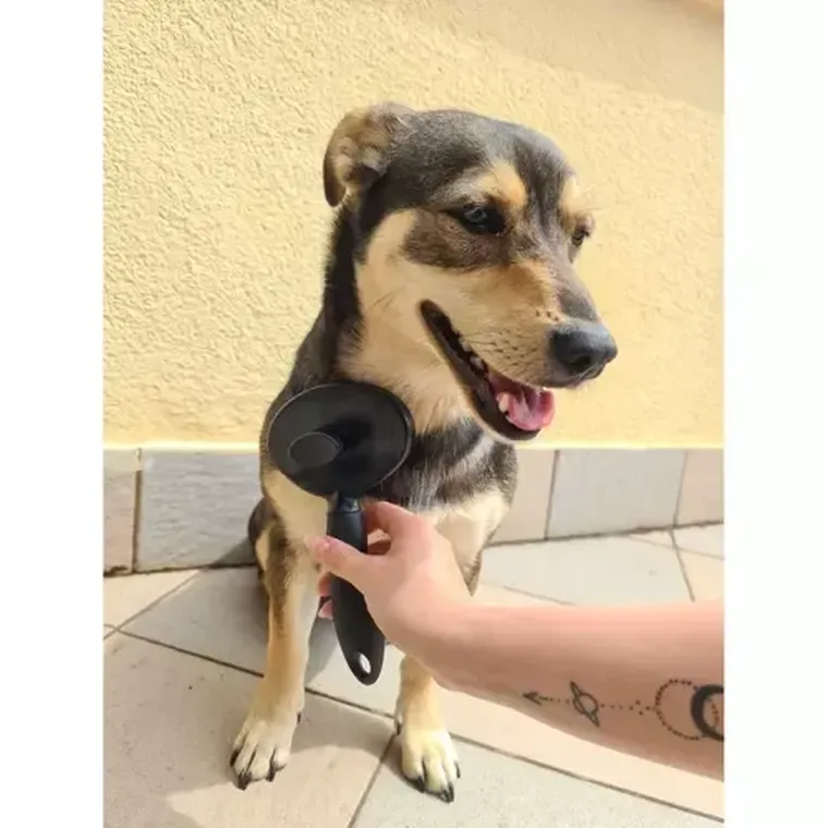 Purlov, szczotka do sierści samoczyszcząca