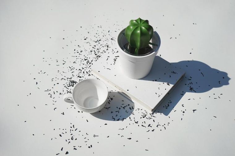 Qualy, Cacnister, pojemnik z łyżeczką na kawę, kaktus, biało-zielony