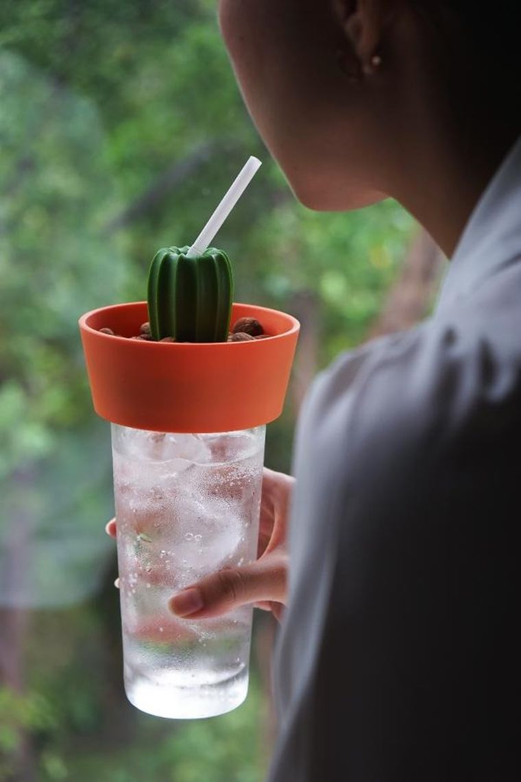 Qualy, Cacnuts, miseczka na przekąski, pomarańczowo-zielona