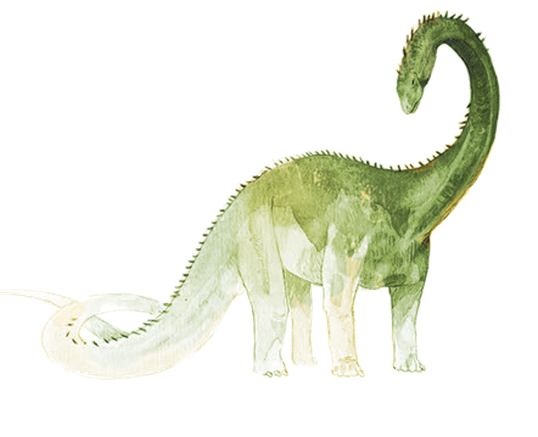 Rebel, First Giants: Muzeum paleontologiczne, gra familijna