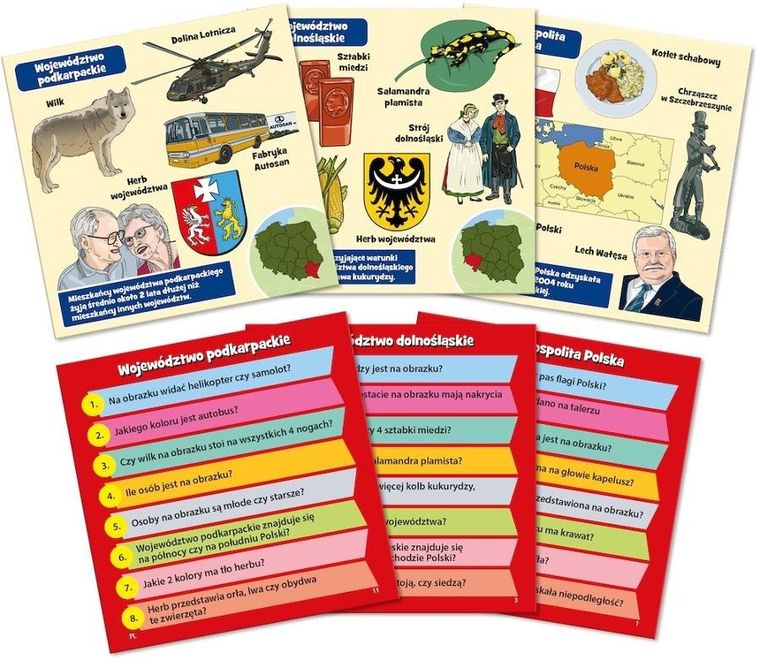 Rebel, Gra, Brainbox: Polska, gra edukacyjna