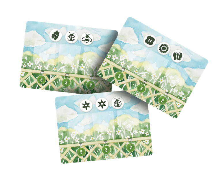 Rebel, Pachnący ogród, gra karciana