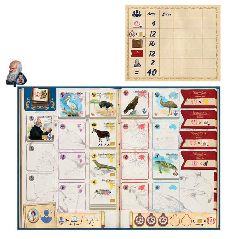 Rebel, Śladami Darwina, gra familijna