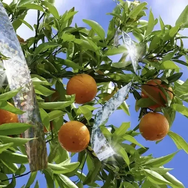 Repest, odstraszacz ptaków, taśma, 80 m