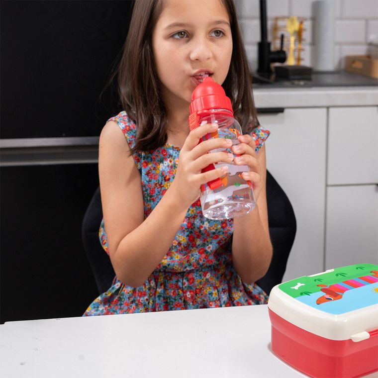 Rex London, Jamniki, lunchbox i bidon, zestaw