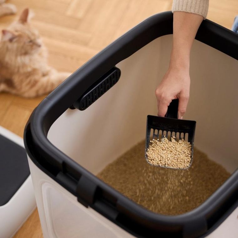 Rotho, kuweta, biała, rozmiar XL