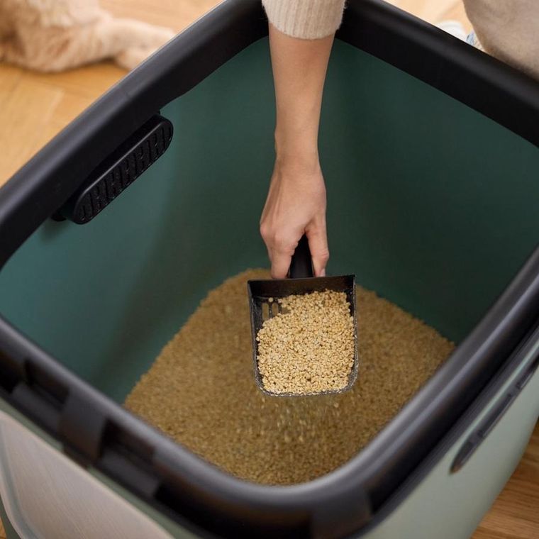 Rotho, kuweta, zielona, rozmiar XL