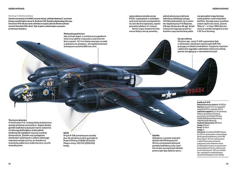 Samoloty myśliwskie i rozpoznawcze USA II wojny światowej