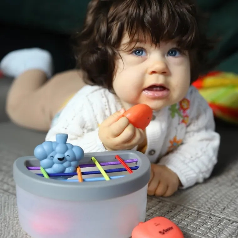 Sassy, zabawka Stem, sorter, kubeczek z owocami, 6m+