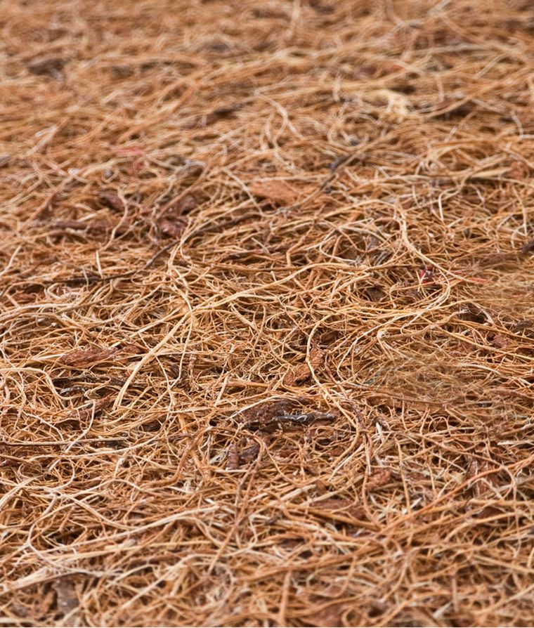 Sensillo, Luxe aloe vera, gryczano-piankowo-kokosowy materac, 120-60 cm