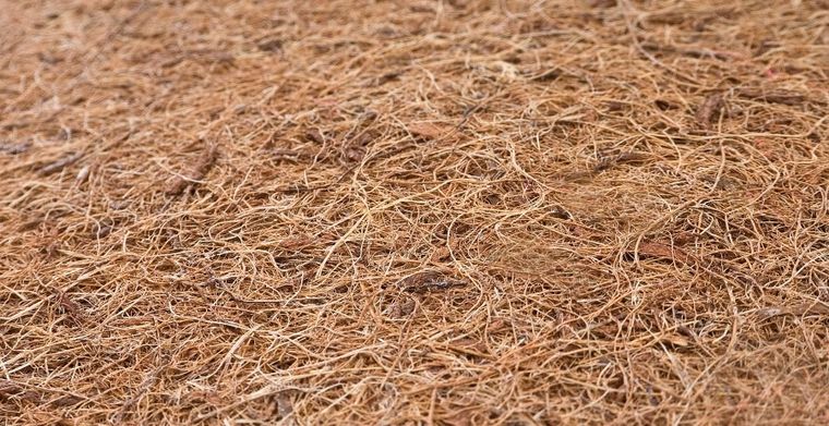 Sensillo, Memory, materac, 140-70-12 cm