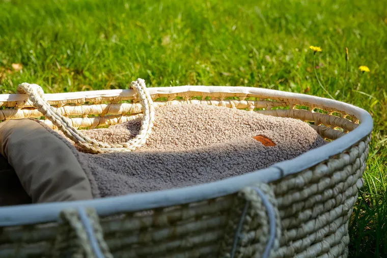 Sensillo, śpiworek 3w1, baranek, ciemny beż