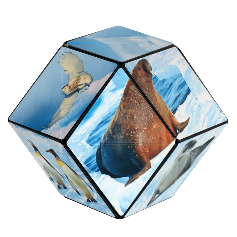 Shashibo, kostka magnetyczna, łamigłówka, Arctic
