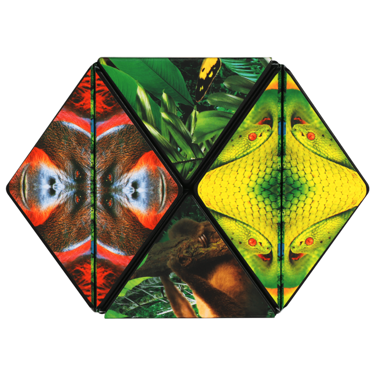 Shashibo, kostka magnetyczna, łamigłówka, Jungle