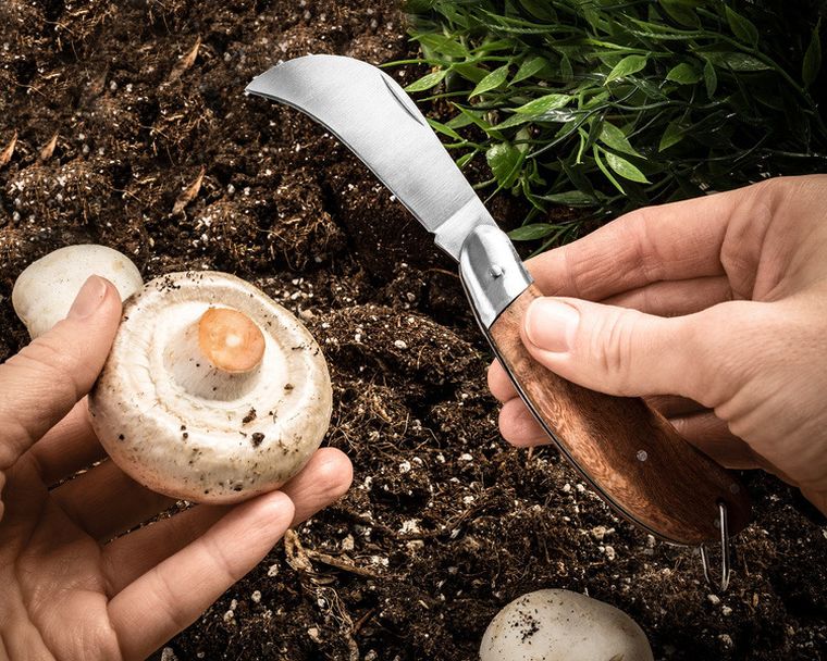 Sierpc, nóż ze składaną drewnianą rączką