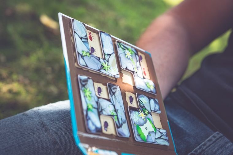 Smart Games, Robaczki, gra logiczna