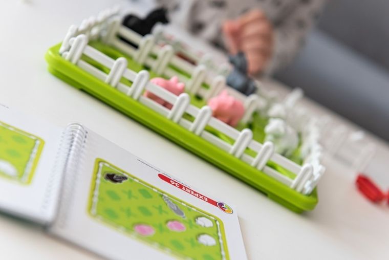 Smart Games, Zwierzaki Na Wsi, gra logiczna