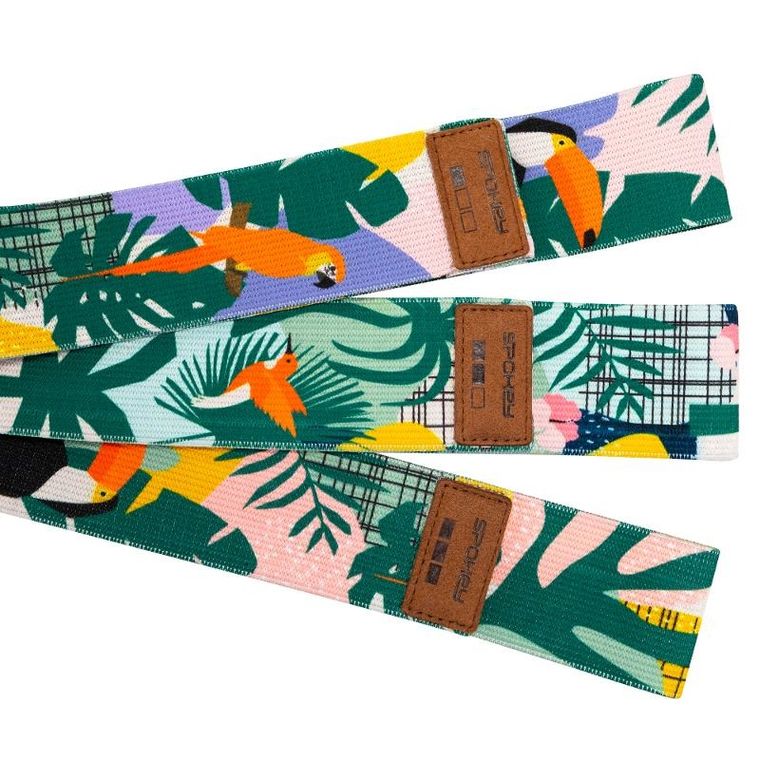 Spokey, Home Jungle, zestaw gum treningowych