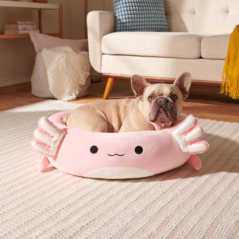 Squishmallows, legowisko dla psa, rozmiar L, 76 cm, Archie The Axolotl