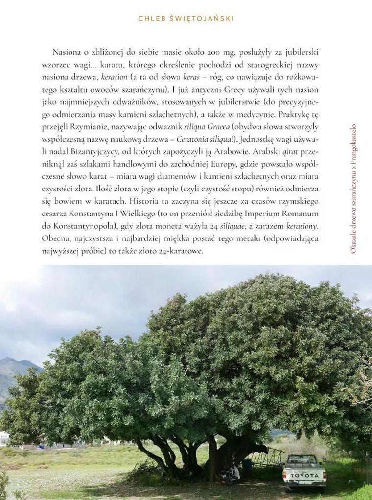 Szafran, mastyks i figa. Greckimi drogami