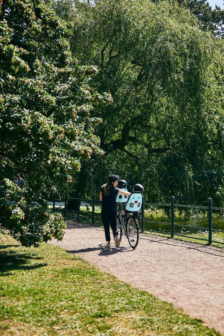 Thule, Yepp Nexxt Maxi, fotelik rowerowy montowany do ramy, Mint Green