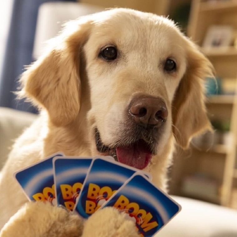 Trefl, Boom Boom, Psiaki i Kociaki, gra karciana