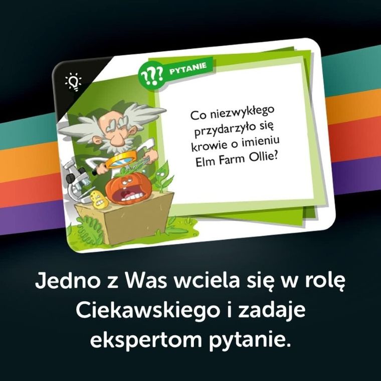 Trefl, Bujda na resorach, imprezowa gra quizowa