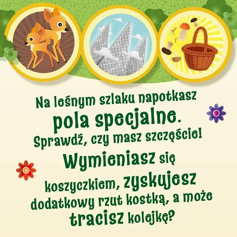 Trefl, Grzybobranie w Zielonym Gaju, gra familijna 3D