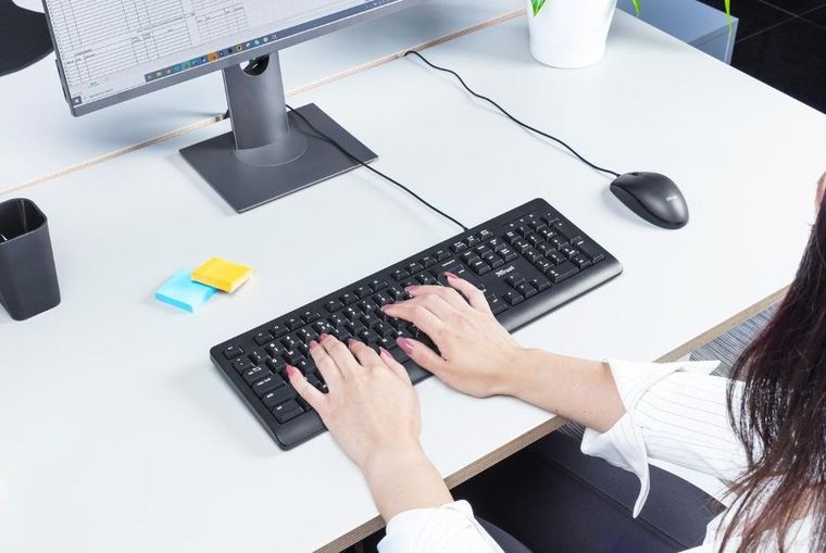 Trust, klawiatura, Trust TK, 150 Keyboard US