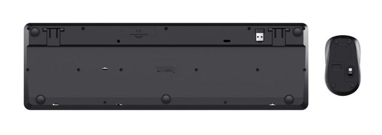 Trust, Ody II, klawiatura i mysz bezprzewodowa