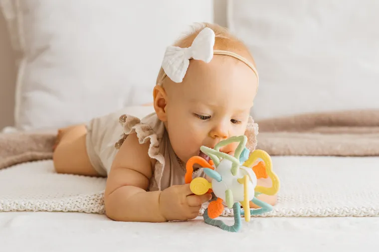 TuliFun, terkotek pastelowy, zabawka sensoryczna