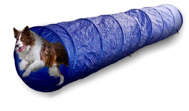 Victoria Sport, tunel sprawnościowy dla psa, 2m