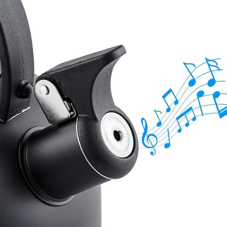 Vilde, czajnik z gwizdkiem, stalowy czarny, 2 l