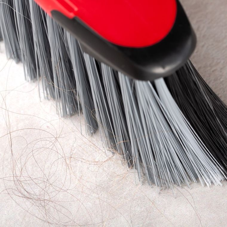 Vileda, Classica 2w1, wkład do szczotki uniwersalnej, 141256