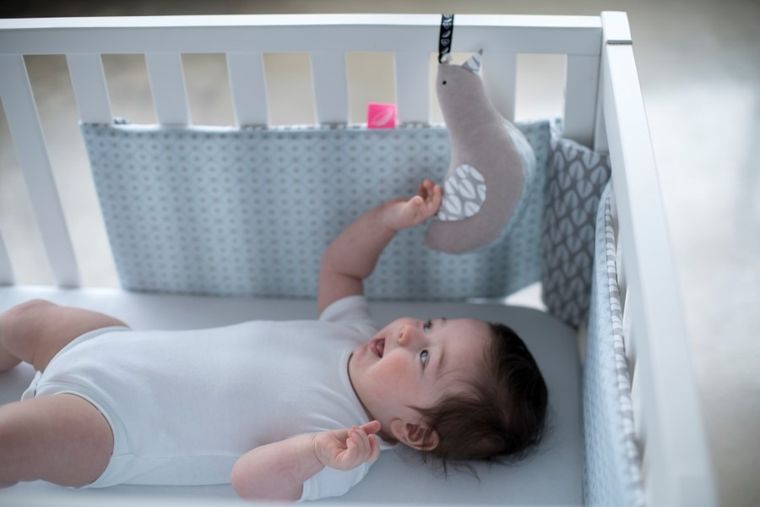 Whisbear - Szumiący Miś, szumiący ptaszek, Drzewka różowe