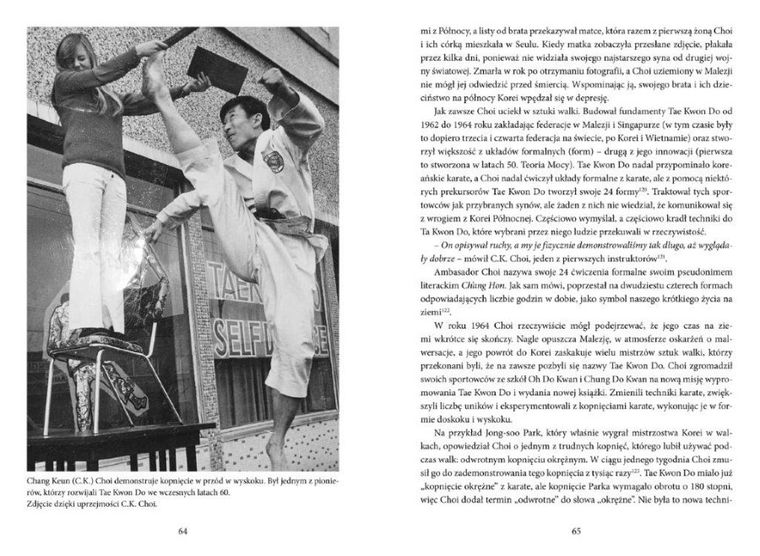 Zabójcza sztuka walki