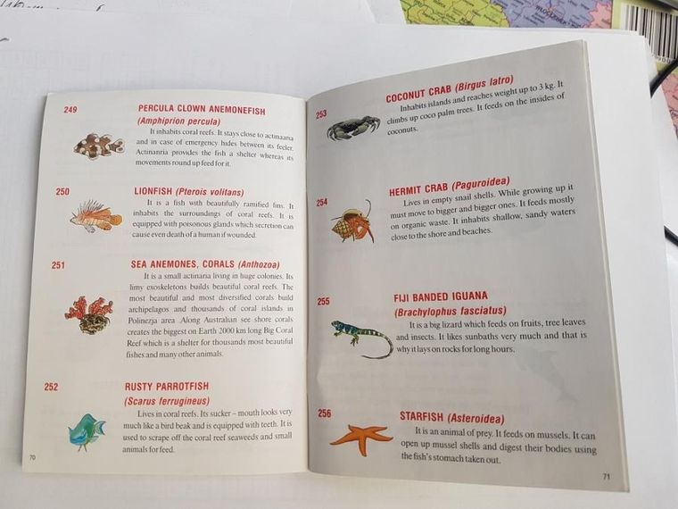 Zachem, interaktywny globus zoo, średnica 22 cm