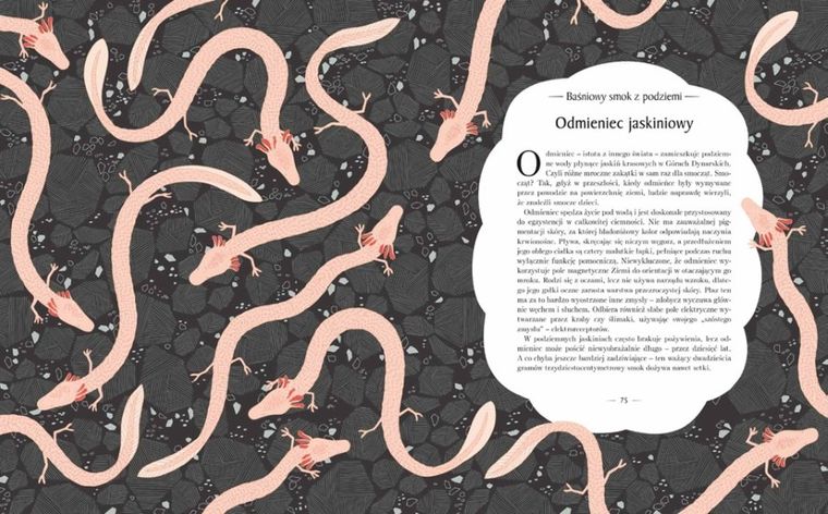 Znikające królestwo. Przewodnik po świecie