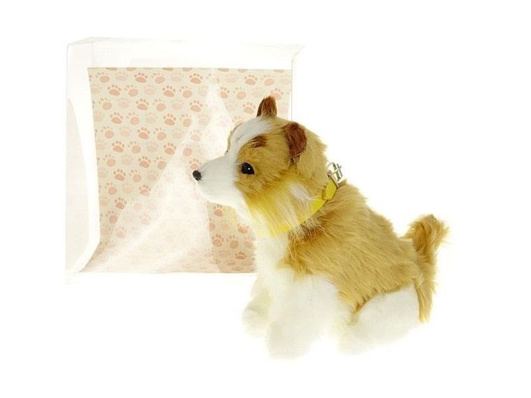 Adar, piesek, zabawka interaktywna