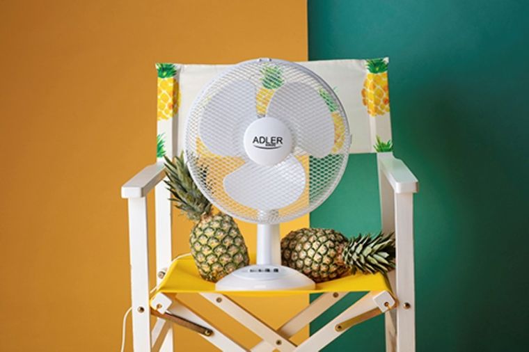 Adler, wentylator AD 7303, 30 cm