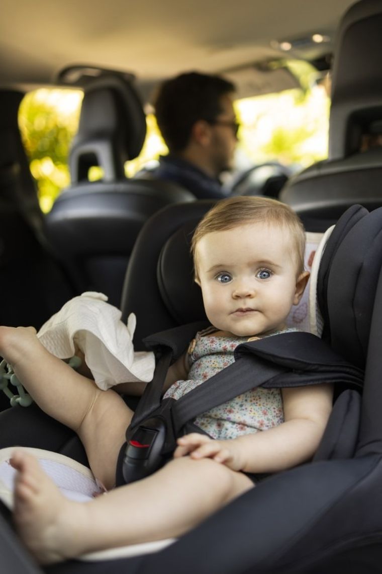 Aeromoov, Truskawki, wkładka antypotowa do fotelika, 9-18 kg