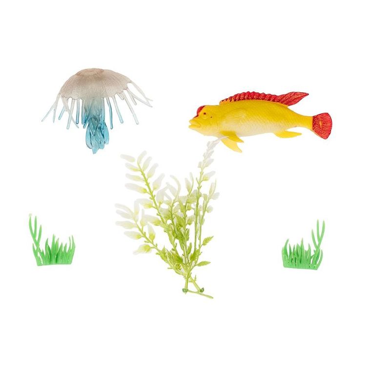 Anek dla Dzieci, zwierzęta morskie