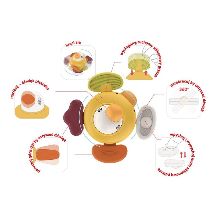 Askato, Kaczka krętaczka, interaktywna zabawka sensoryczna