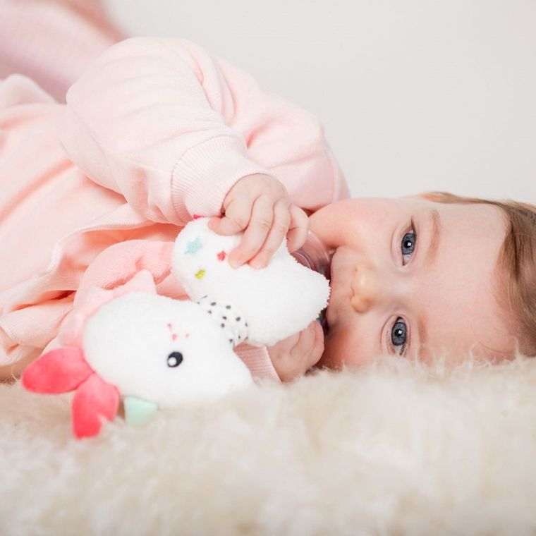 Babyfehn, Aiko i Yuki, maskotka z grzechotką, jednorożec Aiko