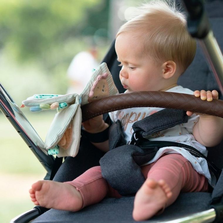 BabyFehn, Ośmiornica, Morze, książeczka edykacyjna