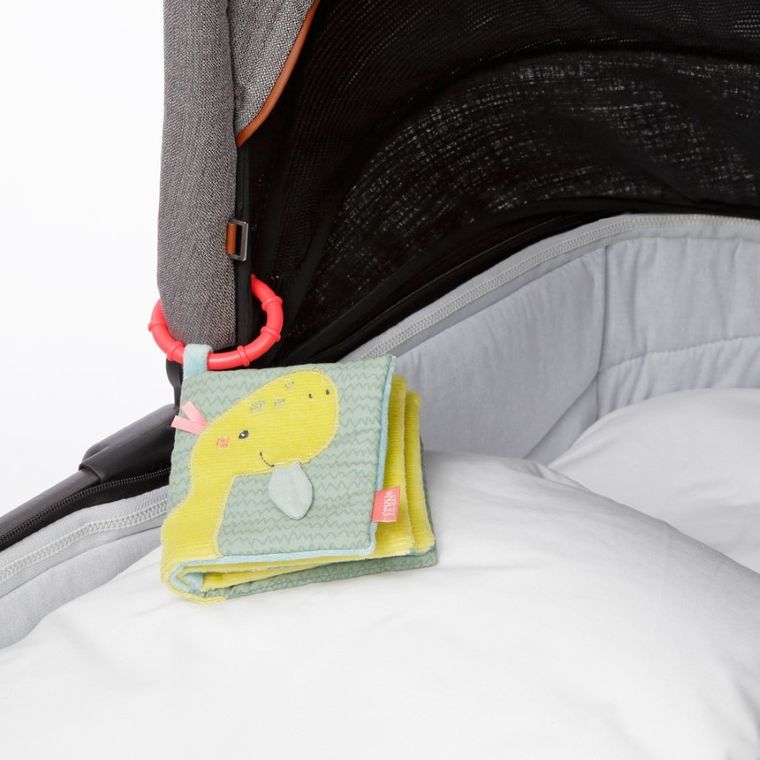 BabyFehn, Wesoły Dinozaur, książeczka edukacyjna