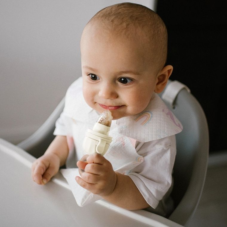 BabyOno, gryzak do podawania pokarmów, dino