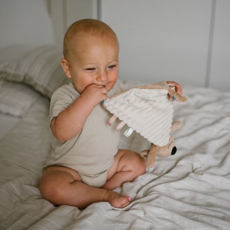 BabyOno, Koala Charlie, przytulanka, kocyk